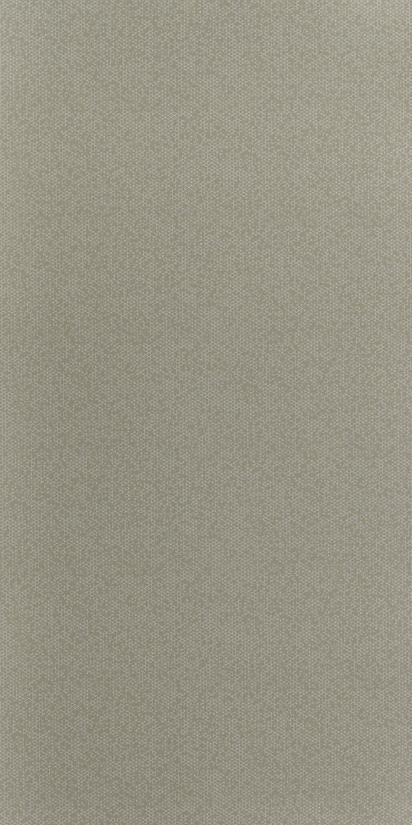 5527 - Energy Cotton