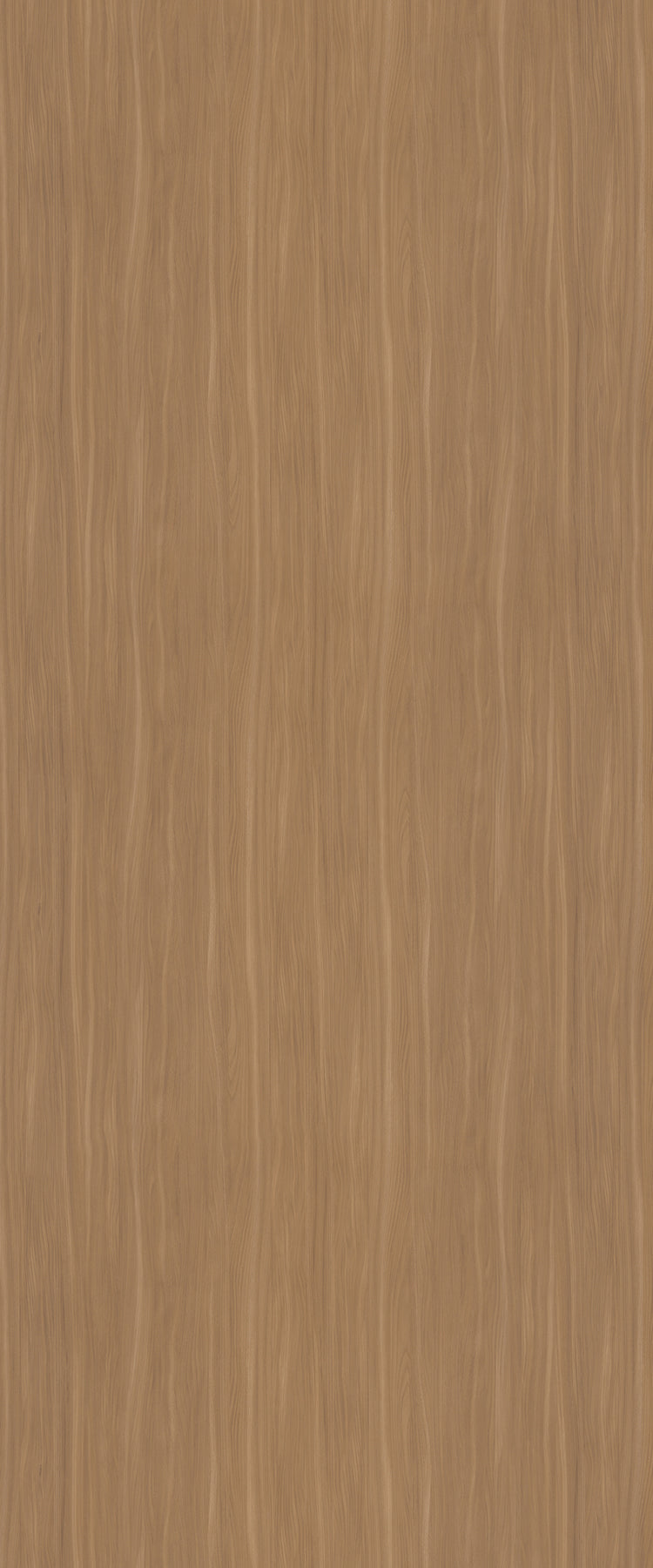 5794 - CORA Beige Elm Naturelle