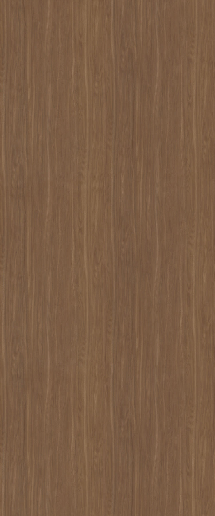 5795 - CORA Camel Elm Naturelle