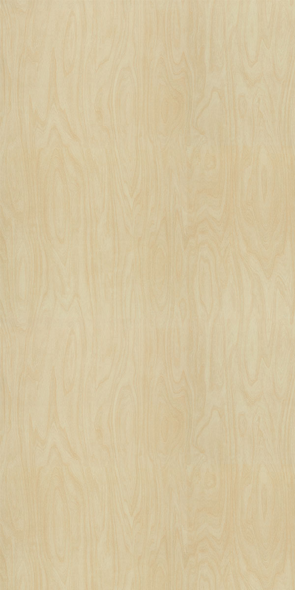 8910 - Raw Birchply Naturelle
