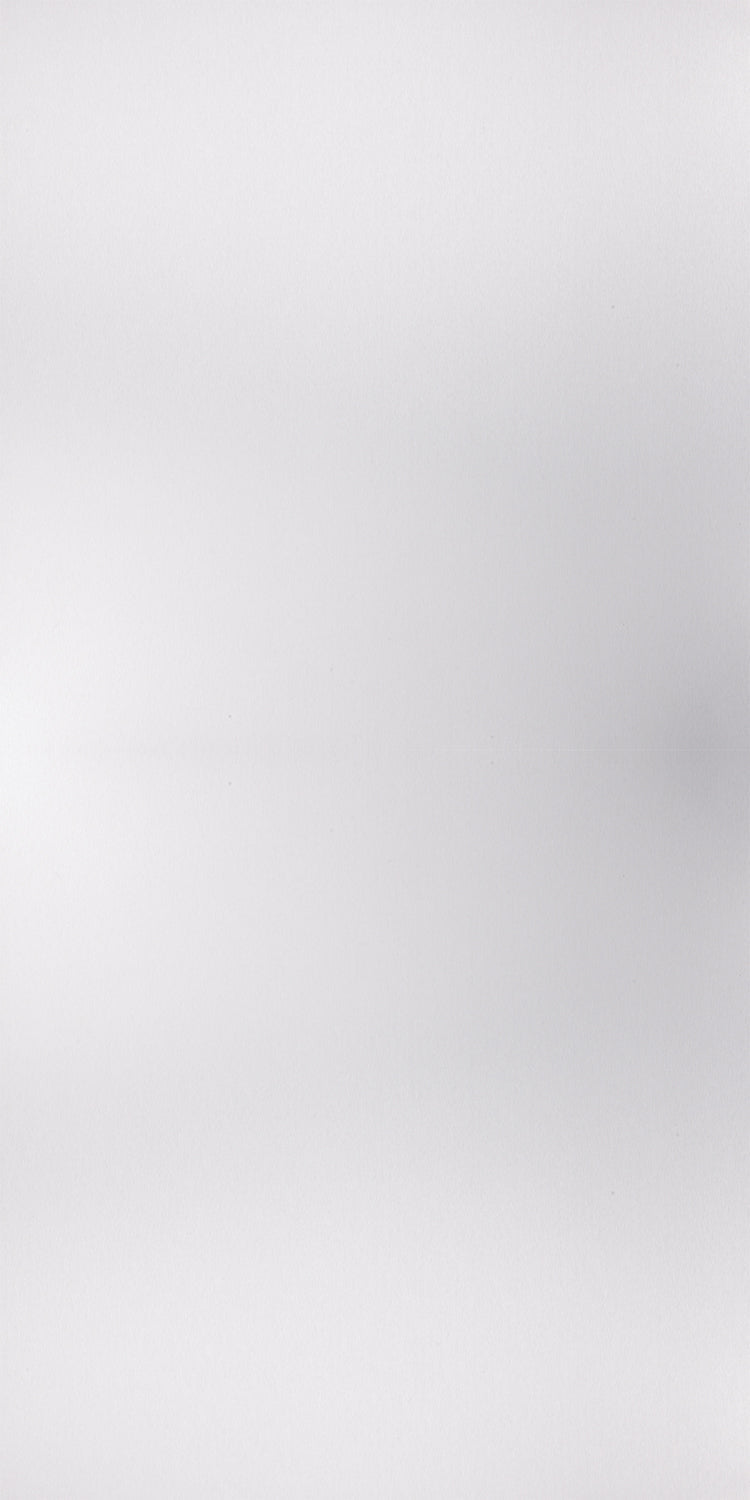 D8124 - Silver Brush