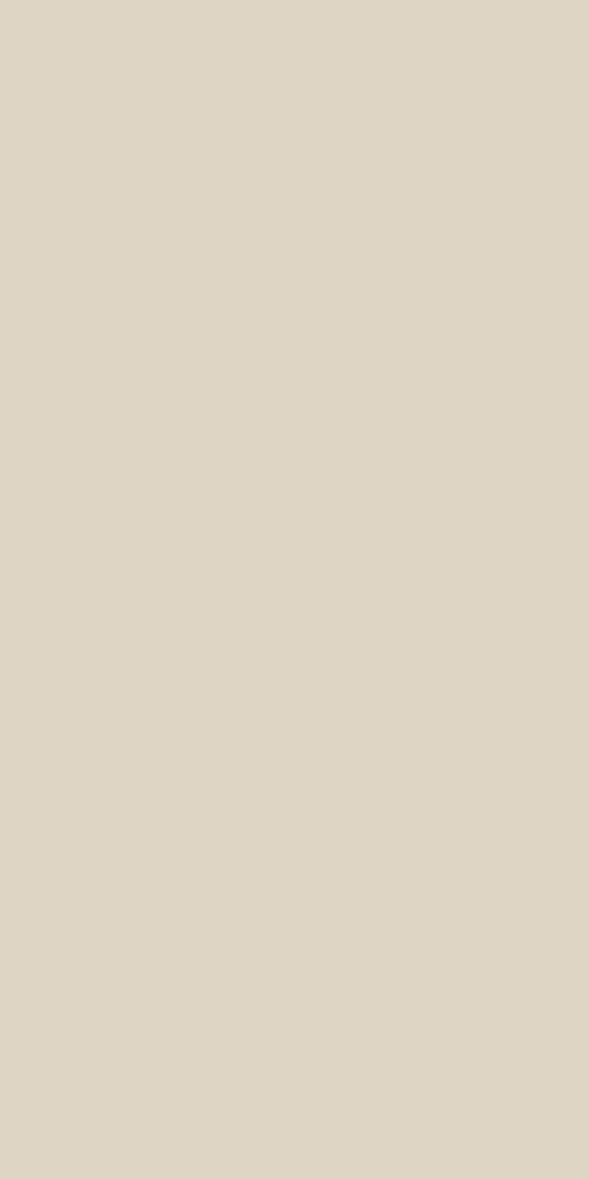 0858 - CORA Pumice Nude Matte