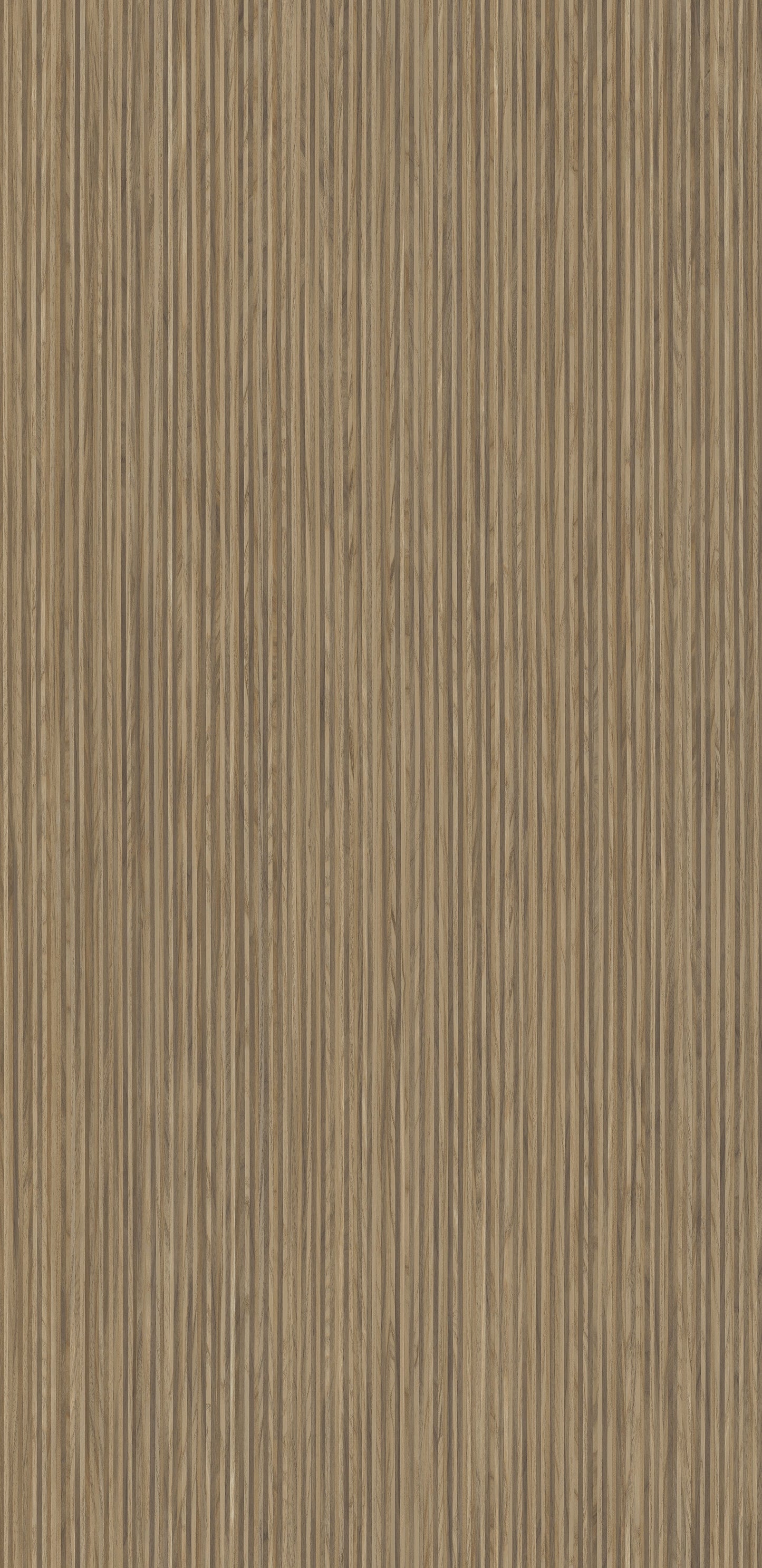 4644 - Caravella Light