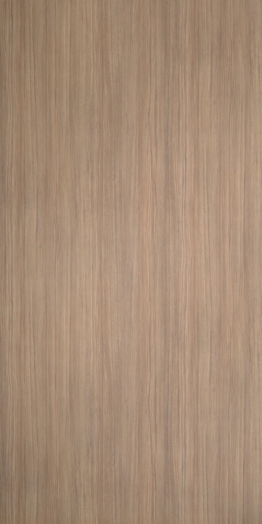 A5483 - Mocca Firwood