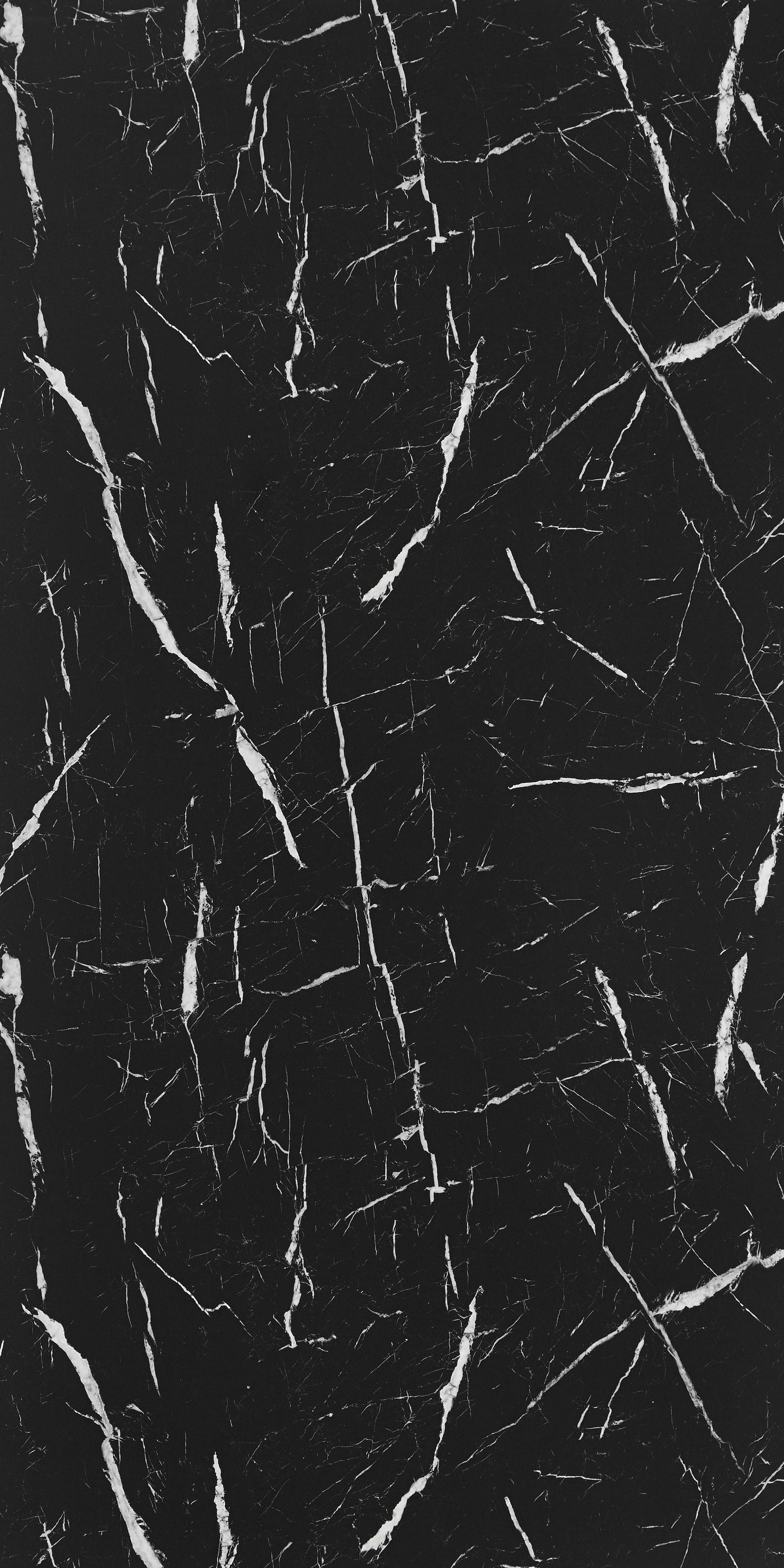 7403 - Nero Marquina Nude Matte