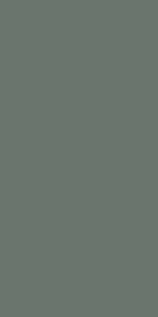 8793 - CORA Green Slate Nude Matte