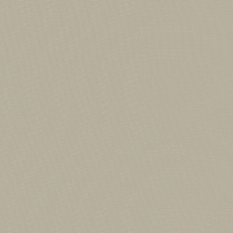 D6433 - Woven Argent