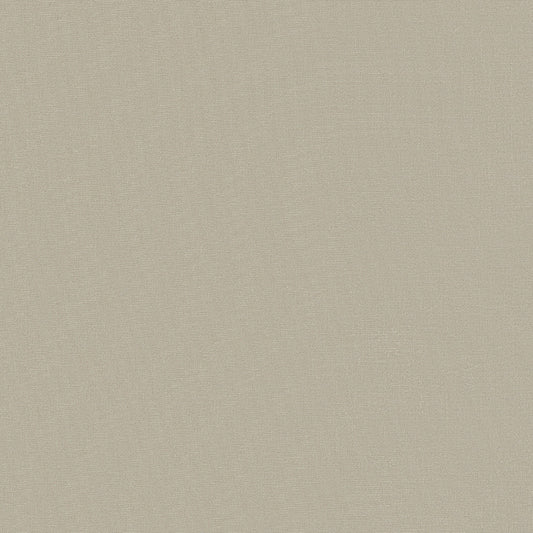 D6433 - Woven Argent