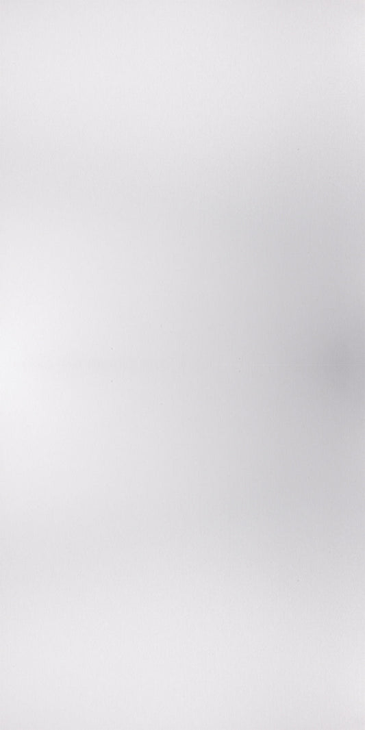 D8124 - Silver Brush